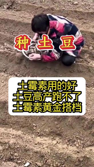 几毛钱的土霉素,用在土豆过程上,那效果是相当,怎么去使用?需不需要搭配?#土豆种植#土豆高产#三农#蔬菜种植