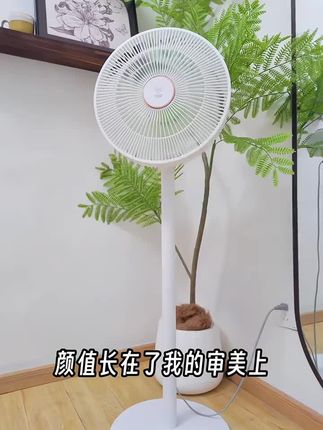 钻石牌家用电风扇一级能效大风力直流变频节能轻音语音遥控落地扇#生活好帮手 #家用电器#好物推荐🔥