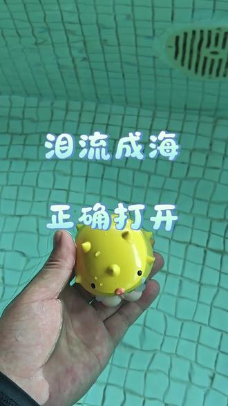 泪流成海,正确打开 #真实生活分享计划
泡泡玛特泪流成海系列
河豚成小乌龟了
#盲盒 #泡泡玛特 #哭娃 #潮玩