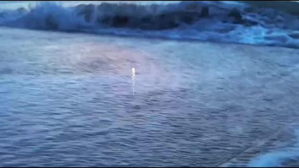 喵乐和小猫饼天下第一好!@喵乐大王👑【秦琅】 #喵乐大王#秦皇岛琅声雅集#二创#克拉#漫播