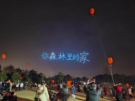 2026年 太阳岛 烟花秀