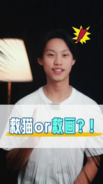 救猫还是救画? #选择 #思辨
