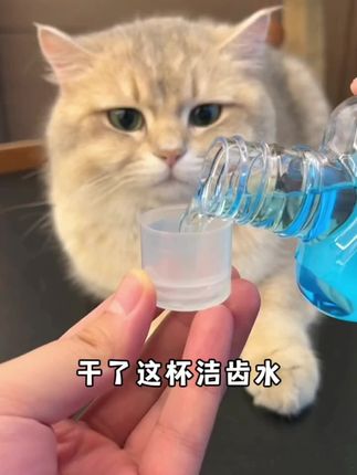 #宠物洁齿水 #猫狗通用生物酶洁齿水日常清洁口腔清新#萌宠好物@抖音小助手