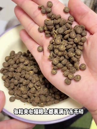 喵铮铮高蛋白冻干