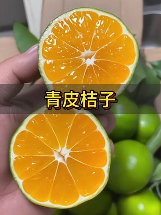 终于吃到了青皮蜜橘,皮薄肉嫩酸甜可口!我孕期就馋这一口!#青皮橘子 #橘子 #优质农产品 #口感特别好 #当季水果
