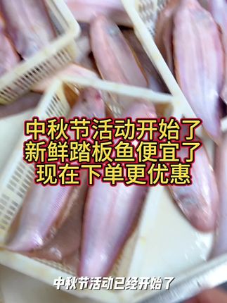 中秋节活动开始了,新鲜踏板鱼价格便宜了,现在下单都能发新鲜鱼 #龙利鱼 #踏板鱼 #舌头鱼 #鳎目鱼 中秋节活动开始了,赶紧来直播间囤货吧!