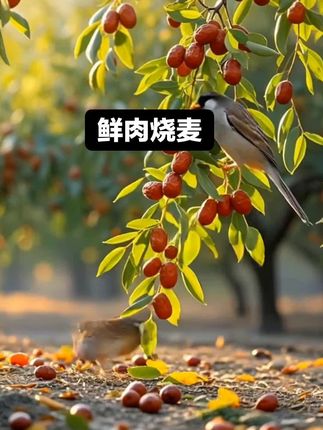 #dou上热门 #抖加小助手 :皮薄裹满鲜肉馅,咬开爆汁超鲜香,一口沦陷的鲜肉烧麦!@DOU+上热门 #好吃到停不下来 #香气扑鼻