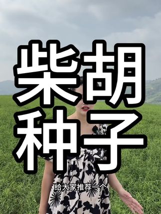 柴胡春夏秋都可以种#柴胡#北柴胡