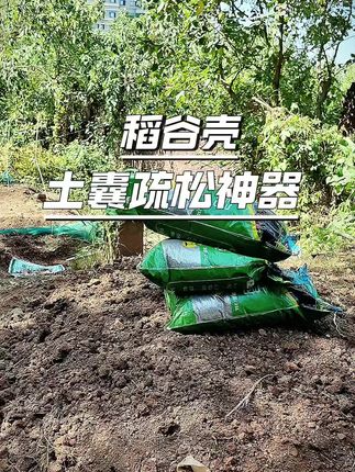 稻谷壳改良土壤的神器,你菜园的土板结用上稻谷壳,半年后你的土壤疏松透气,瓜果蔬菜都长好,便宜又好用