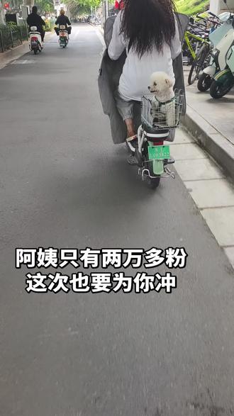 第九个?那个破解出来的人去哪儿啦 #小圆头