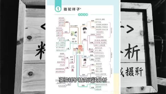 #七年级下册语文 #骆驼祥子 #阅读 骆驼祥子继续读