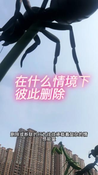 #双生火焰 互相删除的博弈是怎么发生的#人生是一场修行