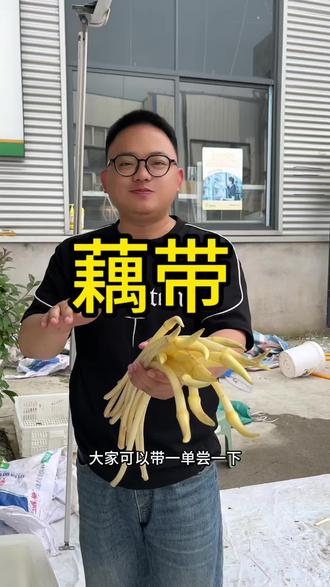 一种长在水里的菜,我们这里叫藕哨子,藕肠子,你们那边叫什么#微光点亮乡村 #农村生活 #农村美食 #地方特色美食