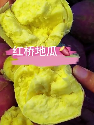 海南桥头地瓜富硒地瓜红薯新鲜沙地板栗蜜薯产地直发#新鲜采摘 #优质农产品 #红薯 #软糯香甜 #农产品
