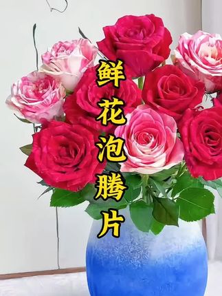 花友们,能助花儿存放期延长花期的鲜花泡腾片来了 #鲜花养护 #玫瑰养护#养花小知识 #鲜花泡腾片#延长花期