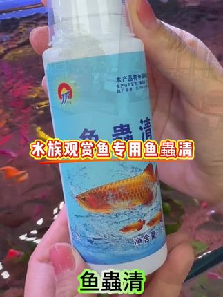 #养鱼人经验分享 #养鱼养心 #养鱼日记 #新手养鱼 #养鱼人