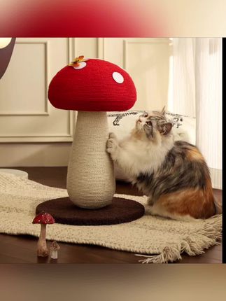 #黄子韬 蘑菇#猫抓板 ~#一家三口