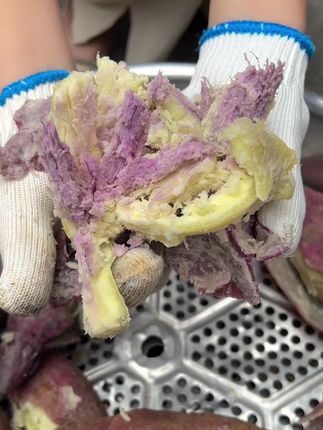 口感粉面甜糯的红薯🍠到底是谁的白月光啊~ 不是那种水唧唧的🍠,每一个都是粉🍜香甜的 谁懂产地直发的含金量~ 干、面、粉、甜、噎,我愿称之为古希腊🍠的神~ 尊嘟巨好吃,软软糯糯的,是小时候的味道没错了! 管理期的姐妹们也能放心吃~ 蒸、煮、烤都相当美味~吃一次直接爱上!#农村美食 #冰淇淋番薯 #好吃到爆 #小时候味道 #好吃到停不下来