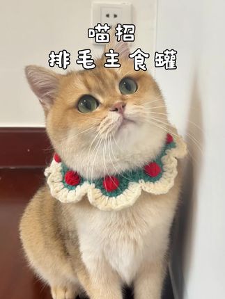 边吃肉边排毛的喵招主食罐!#猫 #萌宠出道计划 #喵招#喵招排毛罐头 #猫咪罐头推荐 @抖音小助手