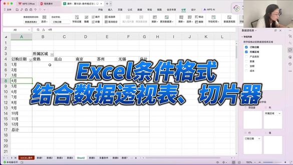 Excel条件格式结合数据透视表、切片器的使用 #excel #excel技巧 #excel函数 #办公技巧 #日常记录