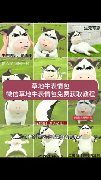 草地牛表情包获取方法 微信草地牛表情的 草地牛表情包#草地牛 #草地牛表情包 #牛牛表情包 #草地牛微信表情包 牛牛生气表情包 微信牛表情包