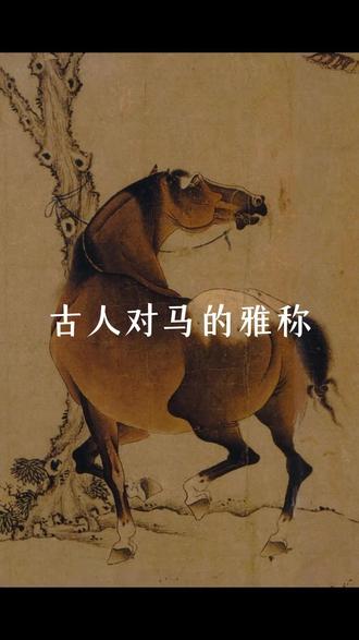 古人对马的雅称#东方美学#名画赏析