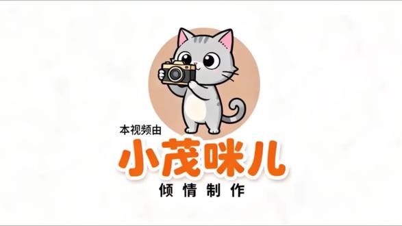 【客稀不碍温情在,阿姨殷勤暖路途】曹县201路上行pov 哈喽~欢迎各位小伙伴观看小茂咪的视频!今天咱们一起搭乘曹县201路公交车出发, 本车由运捷公司发往市民之家,具体线路为: 具体线路为: 运捷公司—毛寨村—人民医院南院区—罗兰小区三桐中学—江山名郡—九号公馆—县立医院—五金城东门—曹州云都—盛世东方小区—凤凰花园城—苏教中学—喜地城东门—市民之家。话不多说,跟着BGM,沉浸式欣赏沿途的美好风光吧!#旅游 #公交 #曹县 #曹县公交 #山东菏泽曹县