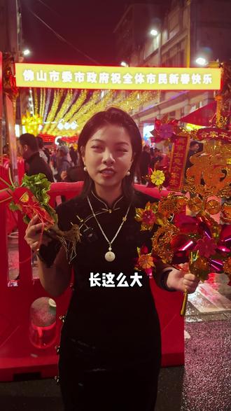 真的被佛山元宵节“行通济”的氛围震撼到了 #佛山 #元宵节 #行通济 #通济桥 #行通济无闭翳