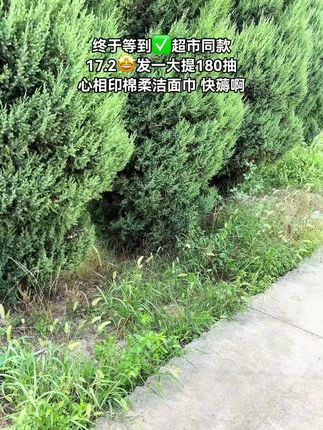 商超同款!#心相印 棉柔洁面巾大羊毛来了!才这个价就到手一大提,谁以后还用杂牌子呀,宿舍姐妹都抢疯了,一提足足有180张呢!一天用两张,都能用三个月了!快薅呀!#棉柔巾 #洗脸巾#超便宜超划算