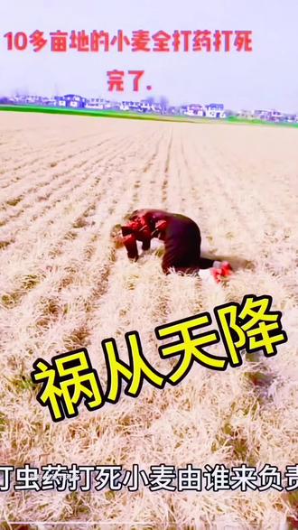 别让丰收变灾难!无人机飞防一定要规范作业,老乡们千万注意