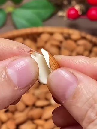 新品门小匠承德甜杏仁大颗粒大杏扁生熟杏仁原味南杏仁无壳零食品#干果坚果 #醇香酥脆 #追剧必备零食