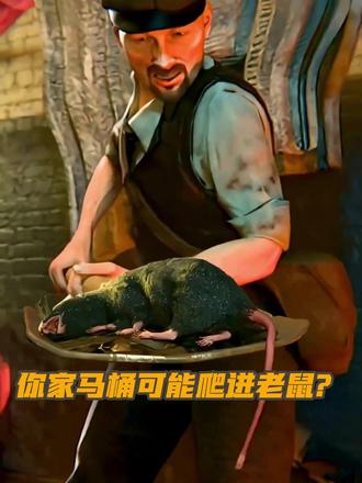 你家马桶可能爬进老鼠?更恐怖的是...二战这招炸毁德军工厂! #科普 #动画片儿童视频3-6岁