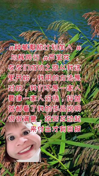 #种草激励计划怎么拍有收益 #与辉同行 ,家人们我找对了方法,欢迎来评论区留言,我会第一时间解答,欢迎大家关注不迷路#抖音推广 #芦苇荡