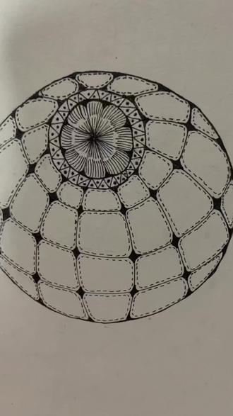 #上热门🔥 哈喽宝子们!今天教大家画一个超解压的禅绕画立体球体,全程零门槛,手残党也能轻松上手,跟着我一步步来,保证你画完成就感直接拉满!
先在纸上画一个正圆,不用特别完美,徒手画也完全OK!
这是整个球体的灵魂步骤!
从圆的最外圈开始,画一圈大小不一、边缘圆润的不规则方块,就像足球或者鹅卵石的拼接感,块与块之间留一点黑色的缝隙,不用画得一模一样,自然的大小变化反而更有立体感。
接着往内圈继续画,越靠近圆心,方块要画得越小、越紧凑,这样透视感就直接出来了!
给每个方块的边缘,都加上一圈虚线,瞬间就有了“缝合感”,细节直接拉满,这一步超简单但效果巨好!
来到最中间的区域,我们来做个超好看的装饰:
先画一个小圆,再在它外面画一圈三角形边框,三角形的角上可以点上小黑点,像一圈小宝石一样。
最中心的圆里,画满从圆心向外发散的直线,像一朵绽放的烟花,也像一朵盛开的花,线条不用特别直,歪歪扭扭的反而更有禅绕画的随性美感。
最后整体检查一下,缝隙的黑色线条补实,方块的虚线补全,线条不干净的地方可以轻轻描一下。
这样一个自带立体感、又超治愈的禅绕画球体就完成啦!宝子们赶紧拿出笔试试,画完记得来交作业哦!#日常分享#一起学画画