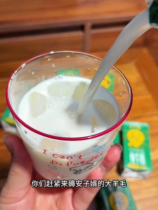 安子婿A2酪蛋白纯牛奶的大羊毛!奶香浓郁、巨好喝#纯牛奶 #牛奶 #快来一起尝个鲜 #安子婿纯牛奶 #好喝不贵