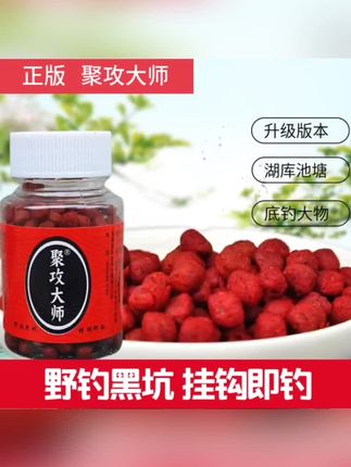 钓鱼饵料