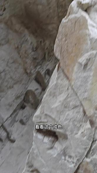 凉山除了南红,还有和田玉哦#和田玉 #翡翠 #南红 #凉山和田玉 #和田玉原石