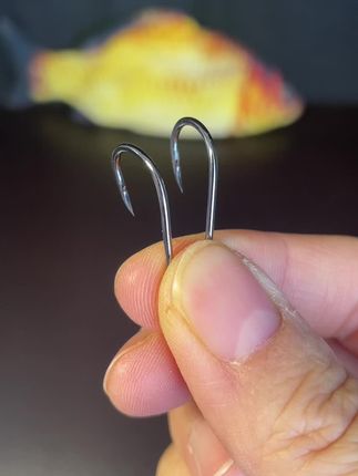 常钓大物的钓友都懂,钩子选对少跑鱼。这款散装千又钩太实用,高碳钢材质够扎实,扛得住大青鱼的猛力冲撞。典型的歪嘴设计,钩门宽、钩尖带鹰嘴状弧度,中鱼后能牢牢锁住鱼嘴,海钓黑鲷或淡水守大物都靠谱 。 钩柄长度适中,挂活饵、搓饵都方便,实战中刺鱼干脆,减少脱钩遗憾。散装款能按需取量,性价比很高。不管是海边抛竿还是水库守巨物,选它准没错。 #千又鱼钩 #高碳钢大物钩 #海钓装备 #青鱼专用钩 #钓鱼好物分享