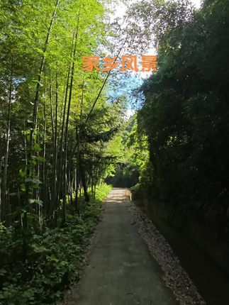 #创作灵感 #蓝天白云晴空万里 #聆听大自然的声音让人心情愉悦 #夏天的味道