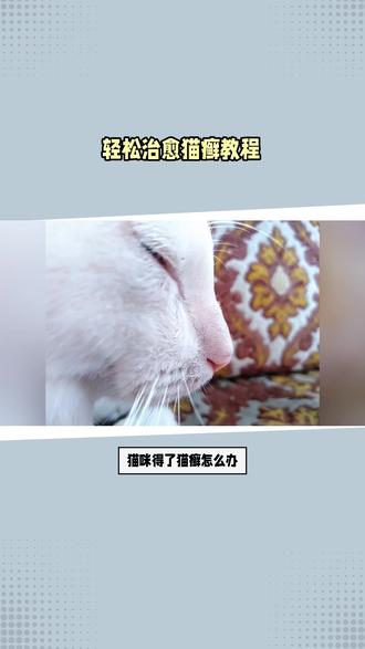 轻松治愈猫癣教程 轻松治愈猫癣教程