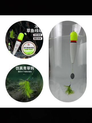 浮钓草鱼线组急流冲钓浮漂水草钩大力马手杆海杆专用路亚滑漂钓组#草鱼线组 #渔具 #钓鱼