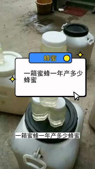 一箱蜜蜂一年产多少蜂蜜