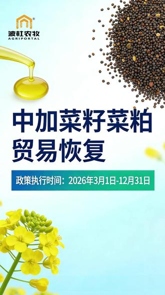 中加菜籽、菜粕贸易恢复! 商务部2026年2月27日发布公告,两国菜籽与菜粕贸易全面恢复,取消加征的100%关税!政策自今年3月1日起执行至12月31日!#最新消息 #新闻传递 #饲料原料 #三农 #进口原料