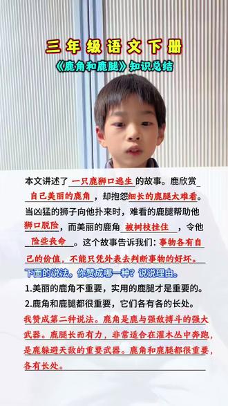#三年级下册语文 《鹿与鹿角》知识总结!#每天跟我涨知识 #每天学习一点点 #小学语文 #学霸秘籍