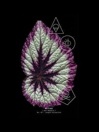 给家里的植物做一套“身份证” 启动《植物归档计划》!
最近把家里的植物全部“收编”,用 AI 给它们建立了一套专属档案,每张卡片都封装了精准的可视化养护数据。
#AI教程 #AI工具 #养植物我是认真的 #养植物的乐趣 #AI设计