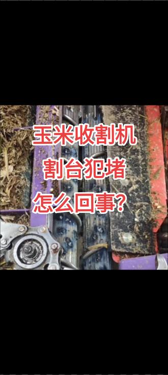 玉米收割机割台犯堵怎么回事,如何解决#玉米 #收割机 #知识创作人 #农业机械 #抖音助农 @惠隆农机