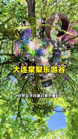 大连市内的宝藏遛娃好去处#棠梨乐游谷 #六一亲子出游攻略 #亲子游玩好去处 #遛娃好去处 #大连旅游攻略