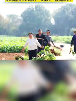 金甲岭萝卜,湖南省衡阳市珠晖区特产,全国农产品地理标志。2018年9月5日,中华人民共和国农业农村部正式批准对“金甲岭萝卜”实施农产品地理标志登记保护。#衡阳#金甲岭鸡萝卜#萝卜干#珠晖区#衡阳人在广州