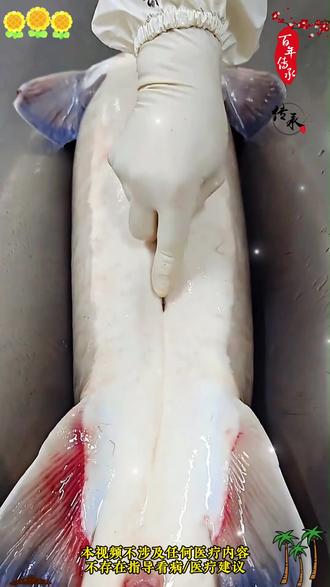 枸杞配蜂蜜,竟然这么神奇! #近视 #视力防控 #爱眼护眼 #儿童护眼 #广东中山