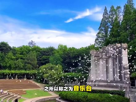来南京逛景区,可以租一辆电动车,两个人50不到能骑一天,而且全城免费换电!#南京钟山梧桐大道 #南京中山陵音乐台景区 #旅游攻略 #租电动车